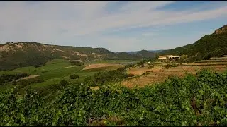 Antica Napa Valley