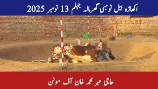 Haji Mehar Muhammad khan of Monan | Akhara Bail Tombi Gharmala Jhelum 13 November 2025