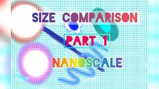 Size Comparison: Nanoscale Objects Part 1