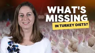 Enzyme Revolution in Turkey Nutrition - Dr. Dawn Koltes