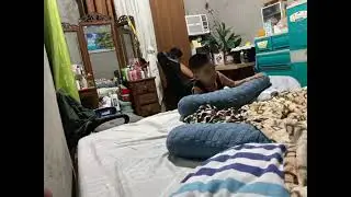 My. Little brother playing to be John Cena lol