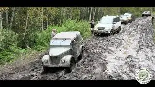 грязная шишка 2020