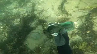 Diving with the @diveblu3 Nemo for Bottles at McNab's Island, Nova Scotia