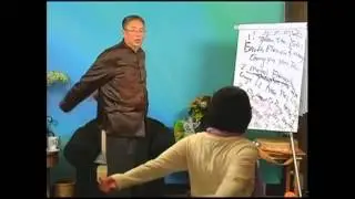 Master Sha: Self-Healing Tapping: 5 Elements - Love