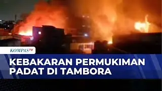 Kebakaran 8 Rumah di Tambora Jakarta Barat, 21 Mobil Damkar Dikerahkan | BERUT