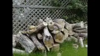The Spring's Green House