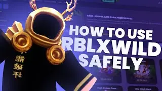 How To Use RBLXWild Safely