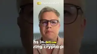 Bitcoin & Crypto Prices: What's Driving the Bull Run?