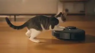 Cat vs. Robot Vacuum: Ultimate Showdown 🤖🐱