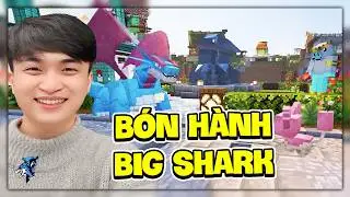 Siro Đang Live...