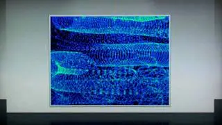 SchmueyVision in a Virtual Gallery