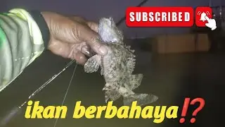 ikan berbahaya⁉️ mancing rendaman di pantai merta sari sanur bali@dikdikamancing