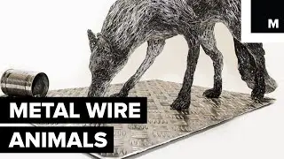 These Aren't Doodles of Animals &mdash; They're Life-sized Metal Sculptures