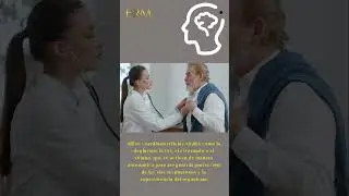 El tallo cerebral: control de reflejos y respuestas.