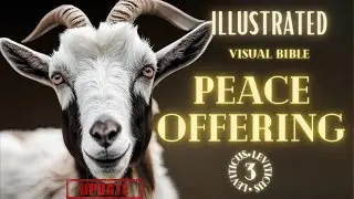 Leviticus 3 [Updated]: Peace Offerings / Fellowship Offerings - Visual Bible