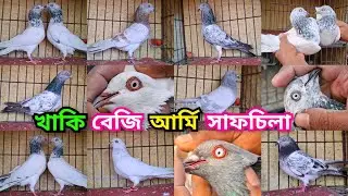 র-বেজি,আর্মি,পাংখি,লাল খাকি,চায়নাখাকি,সাফচিলা,কালোগলা, সবজগলা,বাঘা ও পাল্লা করা কবুতর কিনুন। 