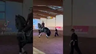 Friesentreffen🐴 #Part8/8 Friesen, Strandritt, Turnier & Show #pferde #reiten #friesen #horses