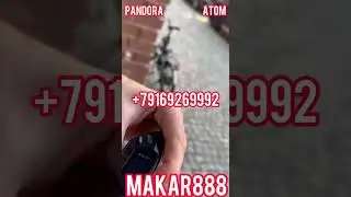 Отзыв клиента из германии с Pandora Atom на примере VW AMAROK