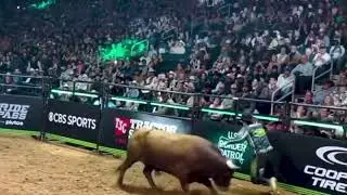 The Last Show of the Bullfighters at South Arena