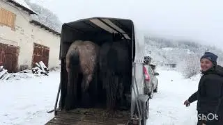 31 січня 2026 р.