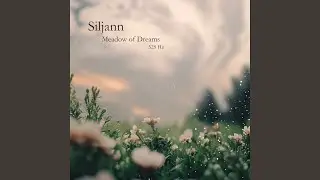 Meadow of Dreams 528 Hz