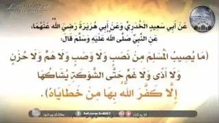 شرح الحديثين : مايصيب المسلم من نصب ،  أجل أني أوعك كما يوعك رجلان منكم
