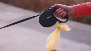 BEST Dog Leash Retractable with Flashlight 2022
