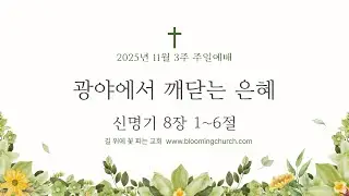 11월3주 길꽃 온라인교회 주일예배 실황