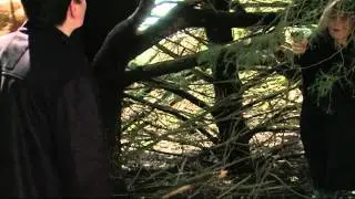 Being Transdimensional Trailer