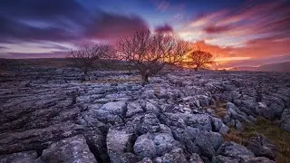 Dan Stone  — Vargo (Extended Mix)