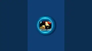 Super Pets Lifestyle is live