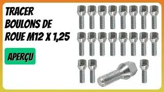 AVIS (2026) : TRACER Boulons de roue M12 x 1,25. D&Eacute;TAILS