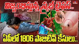 Scrub Typhus is spreading..1806 positive cases in AP.. | Scrub Typhus Case Positive In AP | hmtv