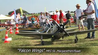 Falcon Wings - 6 Warbirds In Action