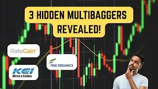 3 Future Multibaggers &ndash; Hidden Powerhouse? | Fine Organics | KEI | RateGain Travel Share News