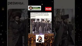 шина🤣 #юмор #шуточное #смешновидео #laugh #memes #прикол #shorts #compilation