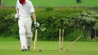 Cricket Wicket ( Bowled ) Sound Effects For Youtube Videos Editing