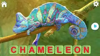 Learn to Read and Save the Animals 3