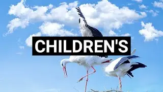 Skip To My Lou &bull; The Green Orbs &bull; No Copyright Music &bull; Royalty Free Music