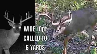 Big Wide 10 Pt Called in to 6 Yards Using 