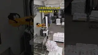 Vertical Robotic Unpacking and Feeding Machine | Automatic Bag Opening & Material Loading System