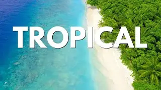 Faos &mdash; Island Joy