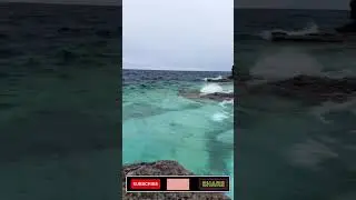 goa wale beach pe #beach #beachvibes #peace #waves #water #beachvideo #song #trending #viral