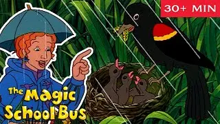 Animal Habitats | Swamp, Ocean, Desert and more | Science for Kids | The Magic School Bus