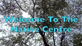 Welcome to The Native Centre