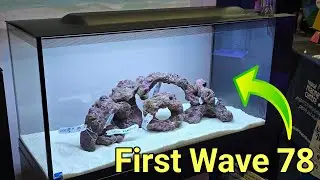 Танк TMC First Wave 78 Nano Peninsula! AquaH 2025