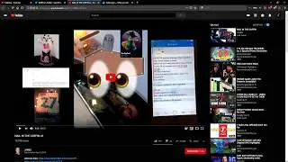 Archybot got CATFISHED? What Happened + His Response
