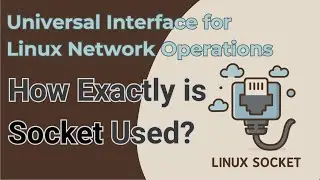 Socket - The Universal Interface for Linux Network Operations: Basic Intro