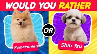 🐶 Would You Rather? Dog Edition │ CROWNCAT QUIZ