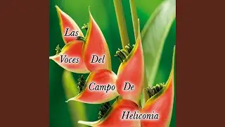 Hogar Feliz